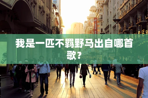 我是一匹不羁野马出自哪首歌？