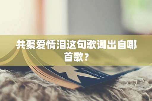 共聚爱情泪这句歌词出自哪首歌？