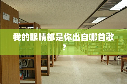 我的眼睛都是你出自哪首歌？