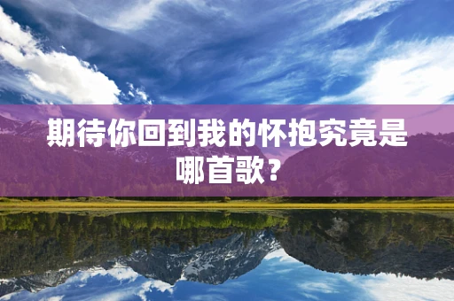 期待你回到我的怀抱究竟是哪首歌？