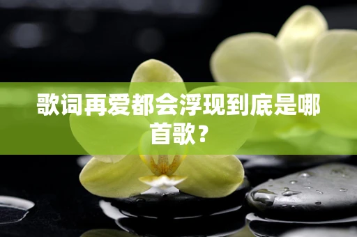 歌词再爱都会浮现到底是哪首歌？