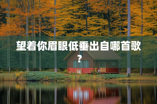 望着你眉眼低垂出自哪首歌？