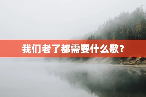 我们老了都需要什么歌？