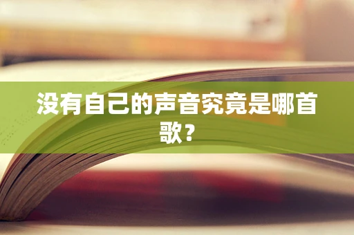 没有自己的声音究竟是哪首歌？