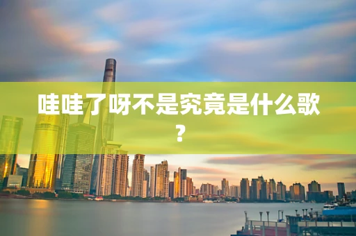哇哇了呀不是究竟是什么歌？