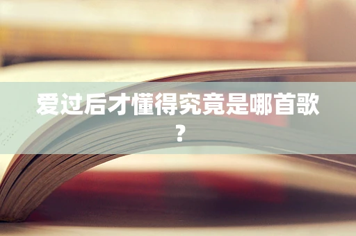 爱过后才懂得究竟是哪首歌？