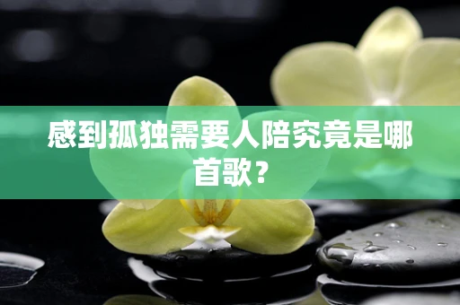 感到孤独需要人陪究竟是哪首歌？