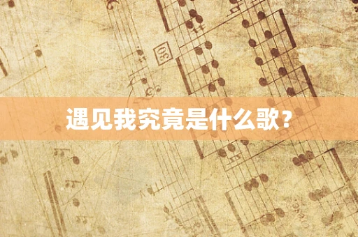 遇见我究竟是什么歌？