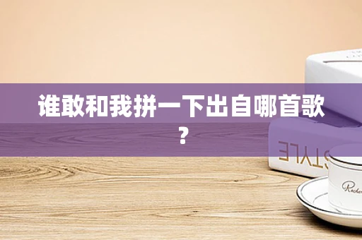 谁敢和我拼一下出自哪首歌？