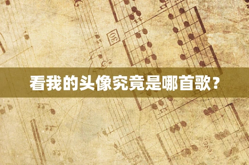 看我的头像究竟是哪首歌？
