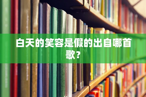 白天的笑容是假的出自哪首歌？