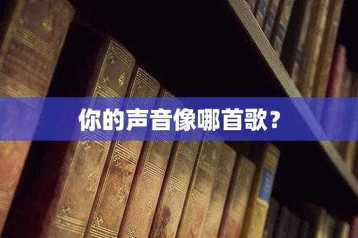 你的声音像哪首歌？