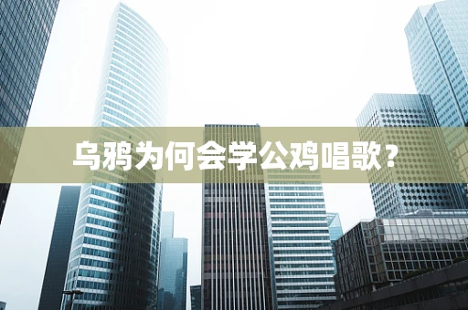 乌鸦为何会学公鸡唱歌？