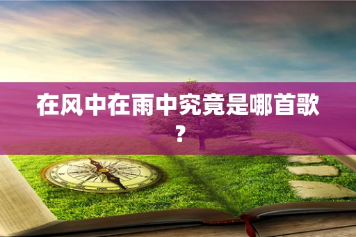 在风中在雨中究竟是哪首歌？