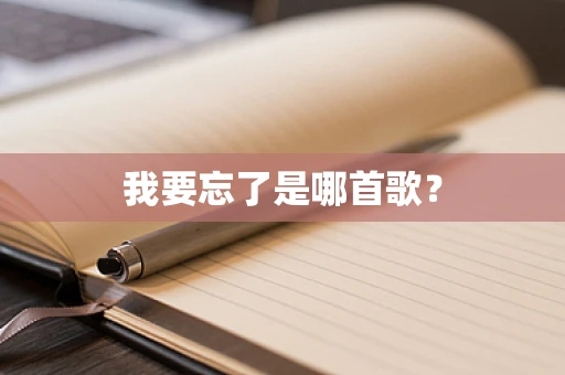 我要忘了是哪首歌？