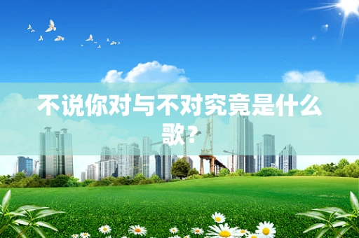 不说你对与不对究竟是什么歌？