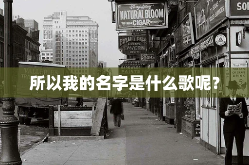 所以我的名字是什么歌呢？