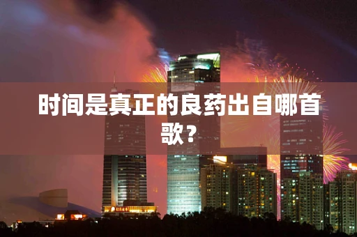 时间是真正的良药出自哪首歌？