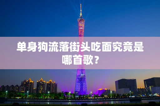 单身狗流落街头吃面究竟是哪首歌？