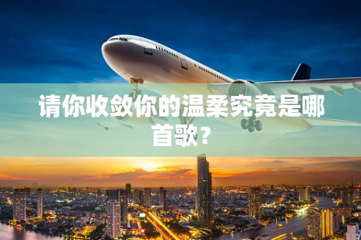 请你收敛你的温柔究竟是哪首歌？