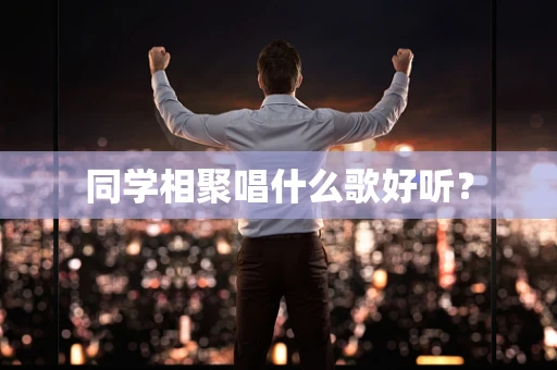同学相聚唱什么歌好听？