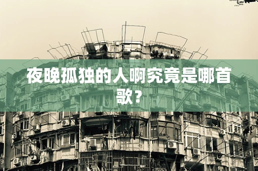 夜晚孤独的人啊究竟是哪首歌？