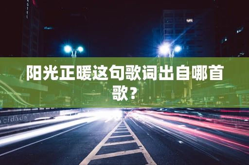 阳光正暖这句歌词出自哪首歌？