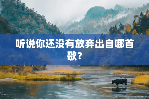 听说你还没有放弃出自哪首歌？