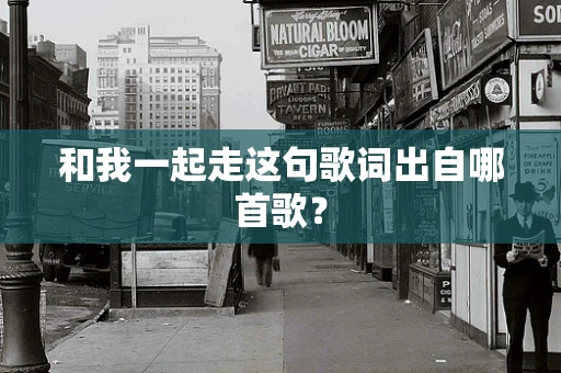 和我一起走这句歌词出自哪首歌？