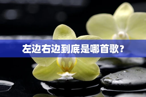 左边右边到底是哪首歌？