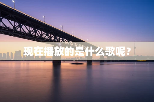 现在播放的是什么歌呢？