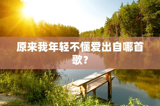 原来我年轻不懂爱出自哪首歌？