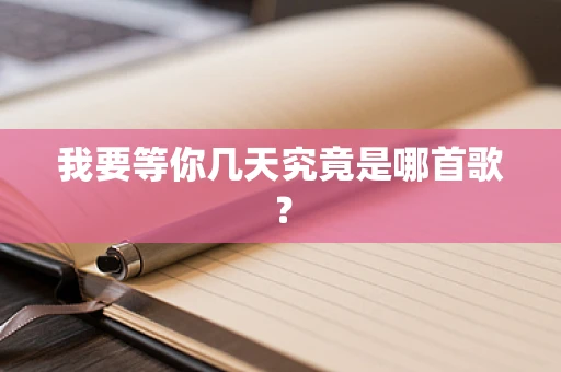 我要等你几天究竟是哪首歌？