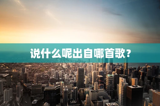 说什么呢出自哪首歌？