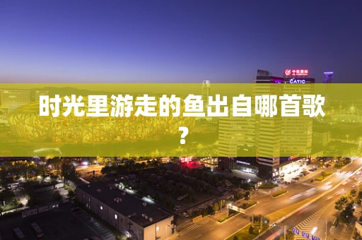 时光里游走的鱼出自哪首歌？