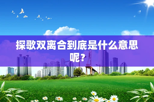 探歌双离合到底是什么意思呢？