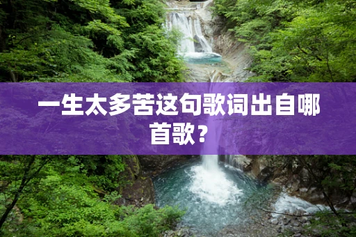 一生太多苦这句歌词出自哪首歌？