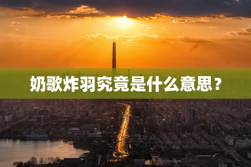 奶歌炸羽究竟是什么意思？