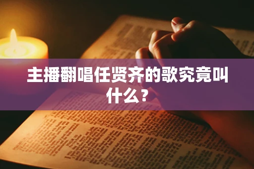 主播翻唱任贤齐的歌究竟叫什么？