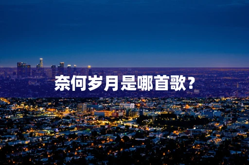 奈何岁月是哪首歌？