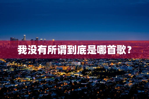我没有所谓到底是哪首歌？