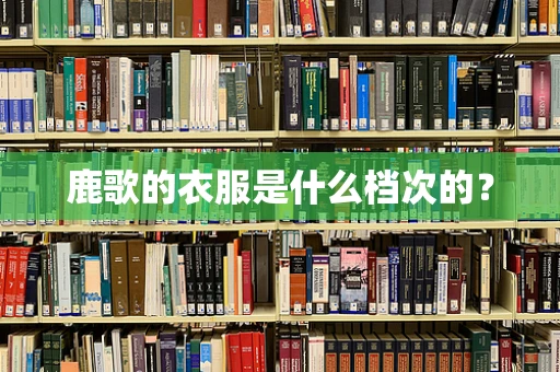 鹿歌的衣服是什么档次的？