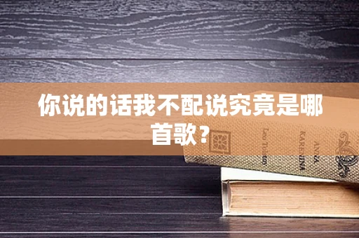 你说的话我不配说究竟是哪首歌？