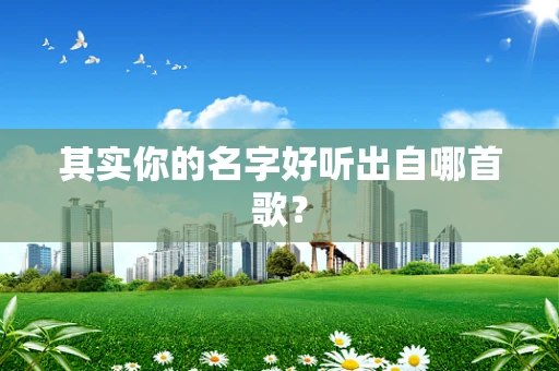 其实你的名字好听出自哪首歌？