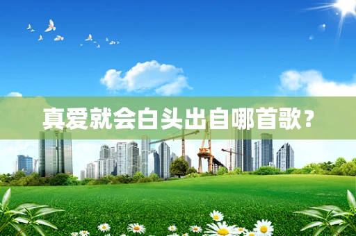 真爱就会白头出自哪首歌？