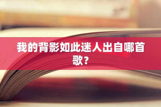 我的背影如此迷人出自哪首歌？