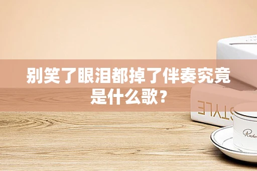 别笑了眼泪都掉了伴奏究竟是什么歌？