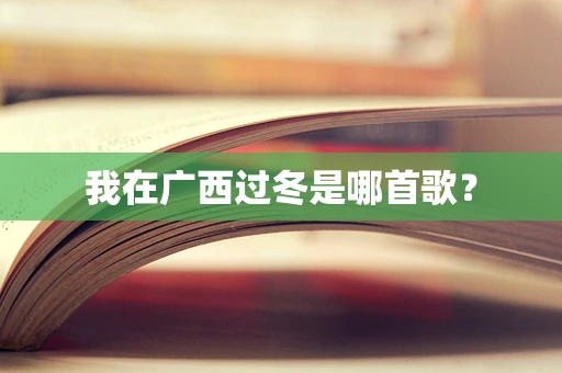 我在广西过冬是哪首歌？