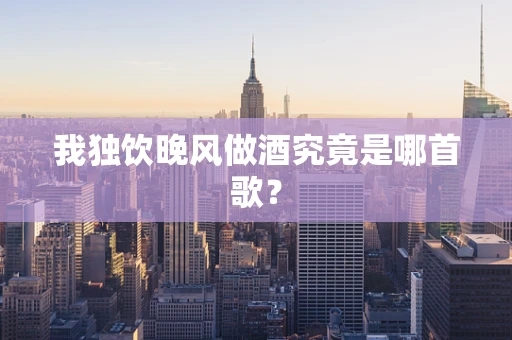 我独饮晚风做酒究竟是哪首歌？