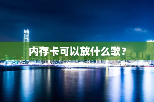 内存卡可以放什么歌？